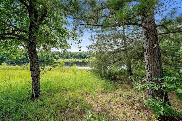 view of landscape featuring a water view