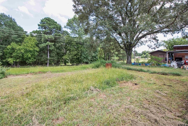 2299 S Fm 14, Mineola, TX 75773 - photo 3