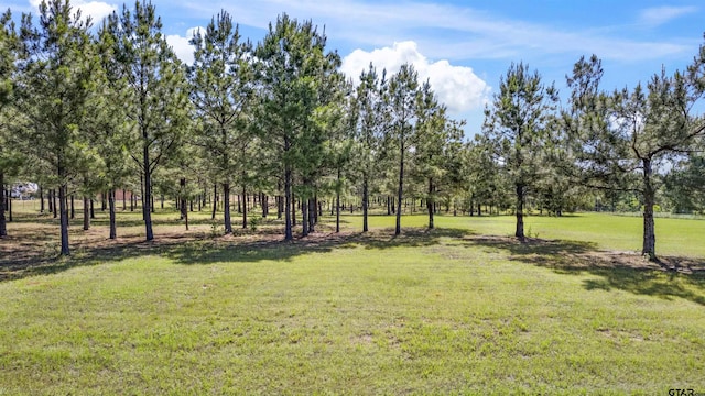 3682 County Road 4501, Jacksonville, TX 75766 - photo 4