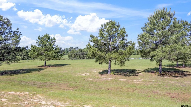 3682 County Road 4501, Jacksonville, TX 75766 - photo 5