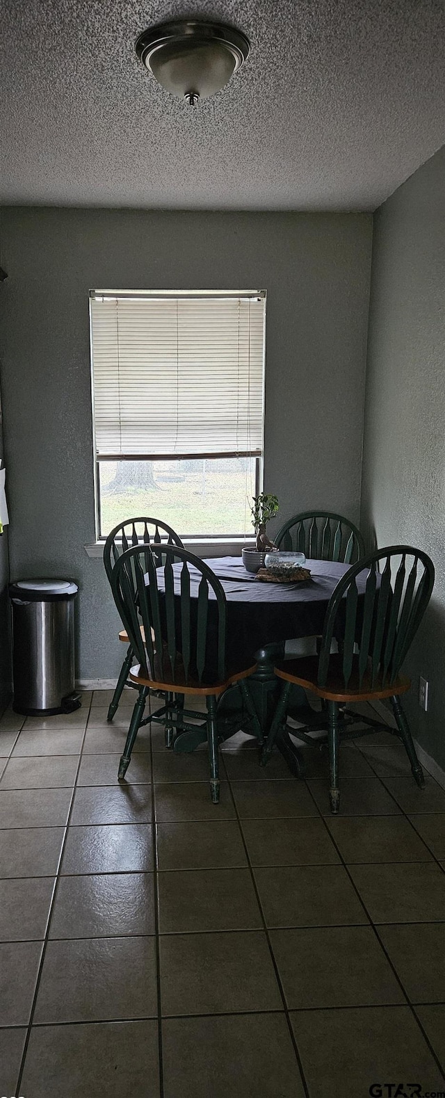 dining area featuring tile patterned floors