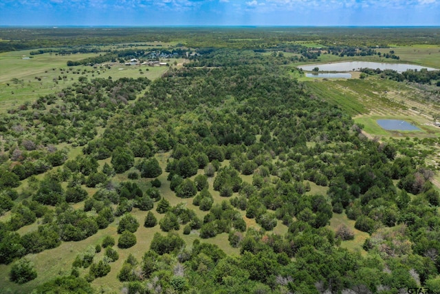 Listing photo 3 for TBD County Road 308 Street, Terrell TX 75160