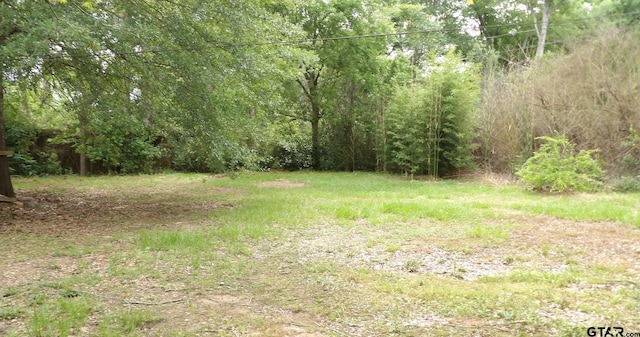 915 John St, Jacksonville, TX 75766 - view of yard with a wooded view