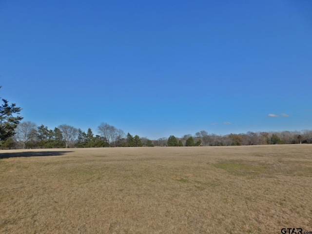 TBD Fm 2088, Quitman, TX 75783 - photo 18