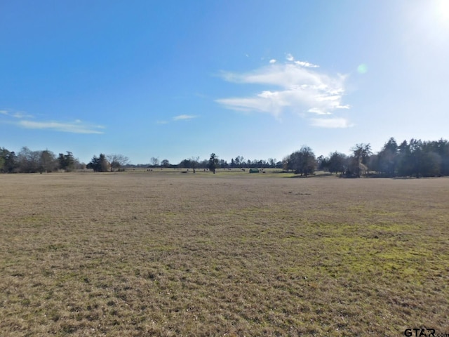 TBD Fm 2088, Quitman, TX 75783 - photo 13