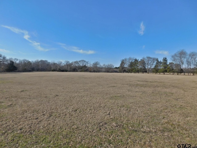 TBD Fm 2088, Quitman, TX 75783 - photo 11
