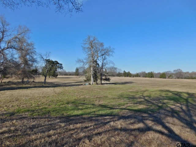 TBD Fm 2088, Quitman, TX 75783 - photo 9