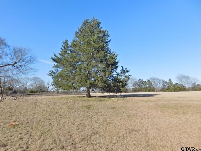 TBD Fm 2088, Quitman, TX 75783 - photo 7