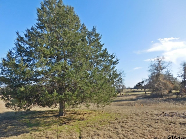 TBD Fm 2088, Quitman, TX 75783 - photo 8