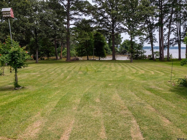 1915 Big Eddy Cir, Chandler, TX 75758 - view of green lawn with a water view