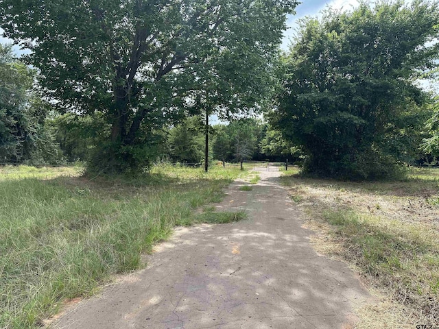 3697 An County Road 309, Frankston, TX 75763 - photo 8