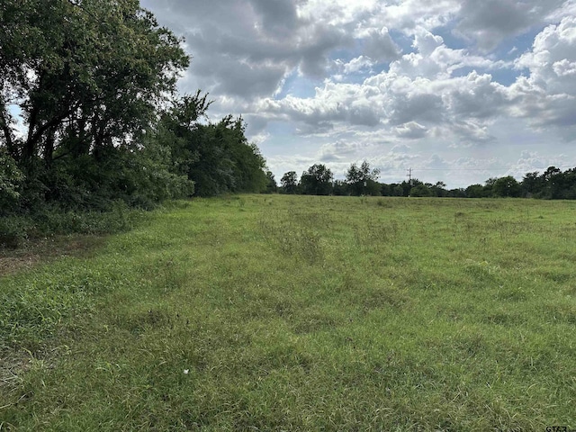 3697 An County Road 309, Frankston, TX 75763 - photo 19