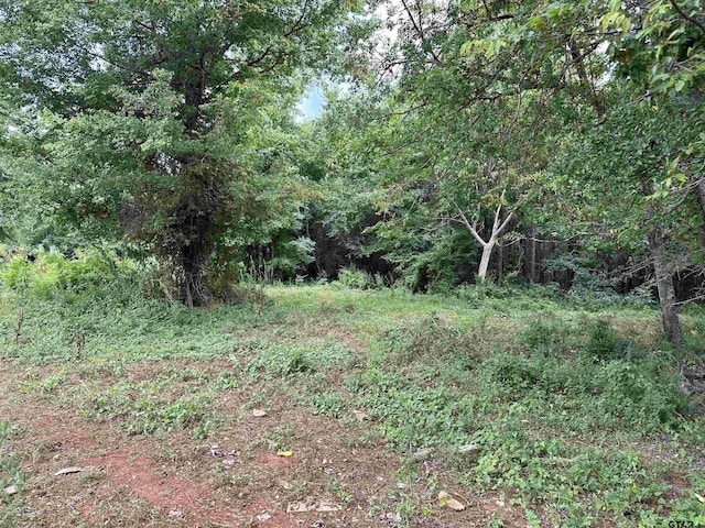 3697 An County Road 309, Frankston, TX 75763 - photo 10
