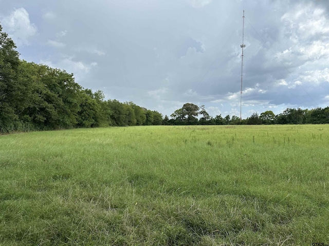 3697 An County Road 309, Frankston, TX 75763 - photo 17