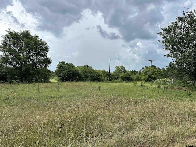 3697 An County Road 309, Frankston, TX 75763 - photo 7