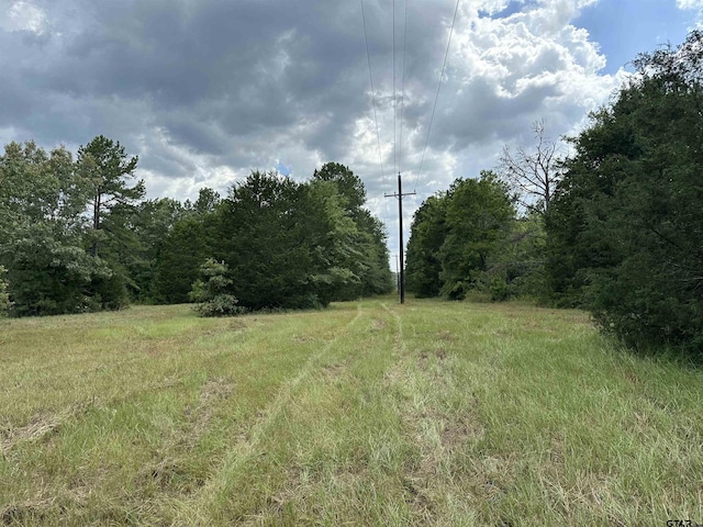3697 An County Road 309, Frankston, TX 75763 - photo 15