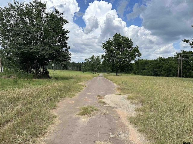 3697 An County Road 309, Frankston, TX 75763 - photo 6