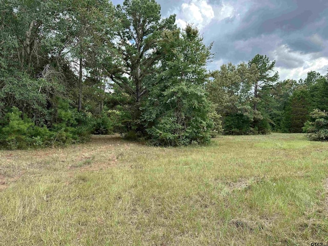 3697 An County Road 309, Frankston, TX 75763 - photo 16