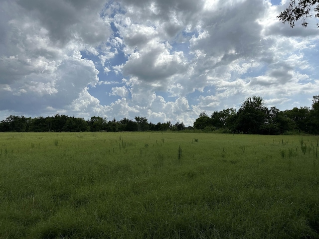 3697 An County Road 309, Frankston, TX 75763 - photo 18