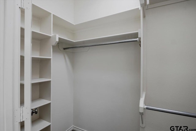 view of spacious closet