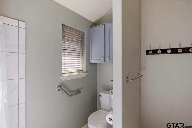 bathroom featuring toilet and vaulted ceiling