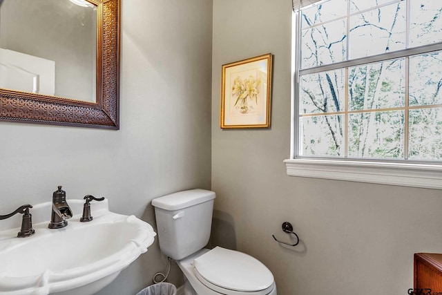 bathroom featuring a wealth of natural light, sink, and toilet