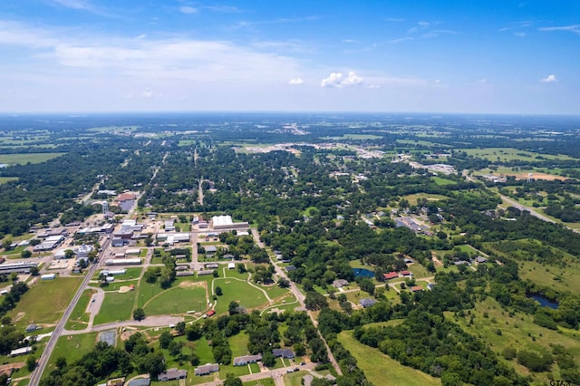 201 Virginia Dr, Mount Vernon, TX 75457 - photo 5