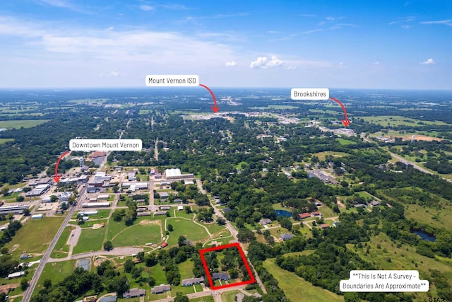 201 Virginia Dr, Mount Vernon, TX 75457 - photo 4