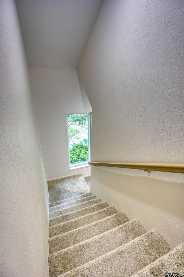 17553 Sleepy Hollow Way, Flint, TX 75762 - stairway featuring a textured wall and carpet flooring