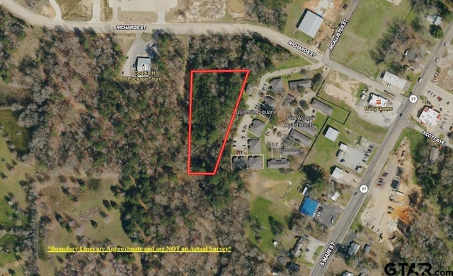 TBD Richards St, Quitman TX, 75783 land for sale