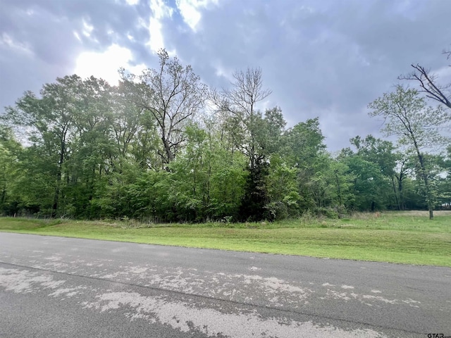 21027 Gatlinburg Rd, Bullard, TX 75757 - photo 22