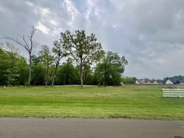 21027 Gatlinburg Rd, Bullard, TX 75757 - photo 20