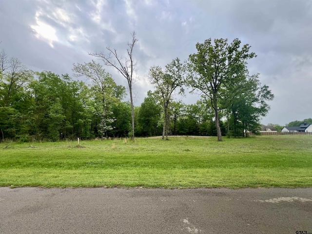 21027 Gatlinburg Rd, Bullard, TX 75757 - photo 21