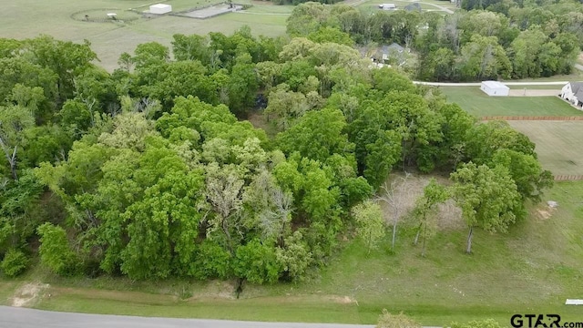 21027 Gatlinburg Rd, Bullard, TX 75757 - photo 11