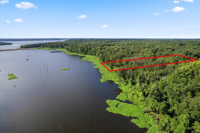 LOT15 Anglers Shrs, Yantis, TX 75497 - photo 15