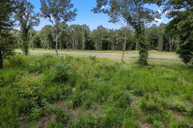 LOT15 Anglers Shrs, Yantis, TX 75497 - photo 18