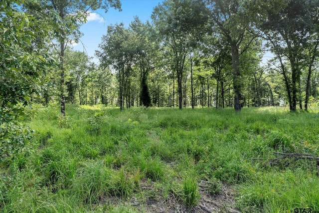 LOT15 Anglers Shrs, Yantis, TX 75497 - photo 5