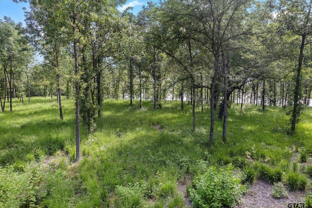 LOT15 Anglers Shrs, Yantis, TX 75497 - photo 17