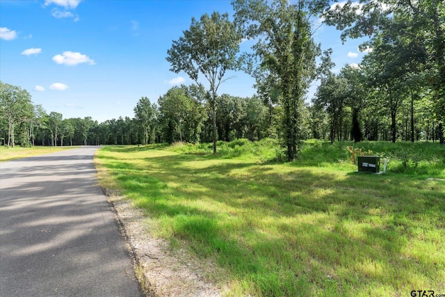 LOT15 Anglers Shrs, Yantis, TX 75497 - photo 6