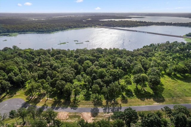 LOT15 Anglers Shrs, Yantis, TX 75497 - photo 8