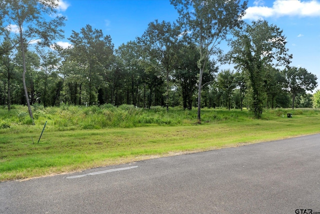 LOT15 Anglers Shrs, Yantis, TX 75497 - photo 4