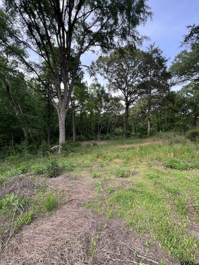 TBD County Road 334, Tyler, TX 75706
