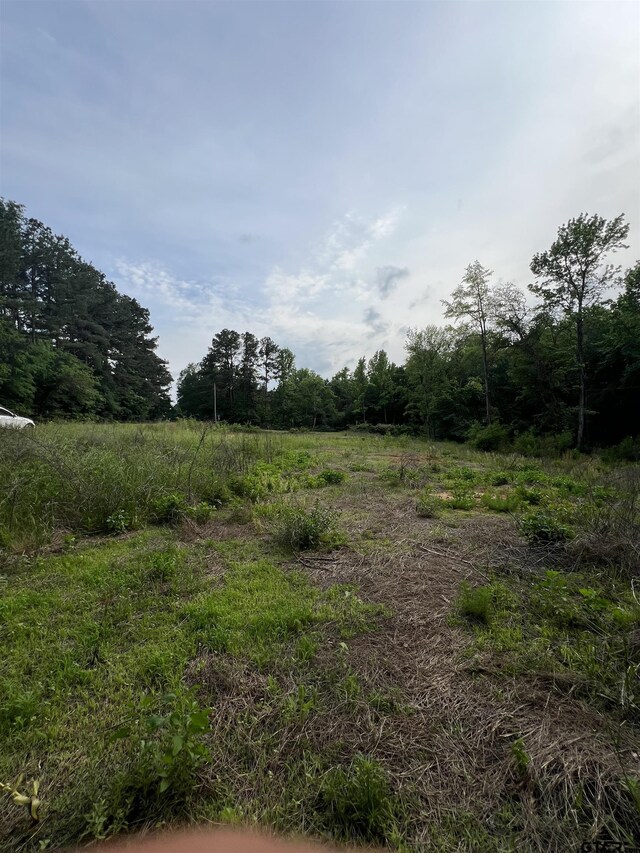 TBD County Road 334, Tyler, TX 75706