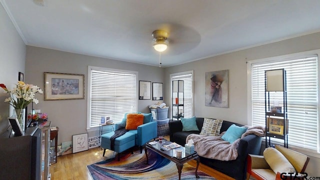 living room with a ceiling fan, light wood finished floors, and ornamental molding