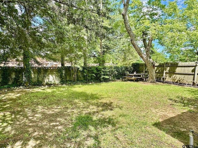 view of yard