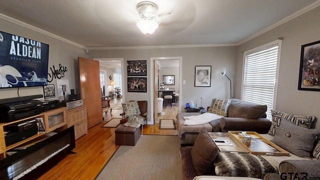 living room with ornamental molding and light wood-style floors