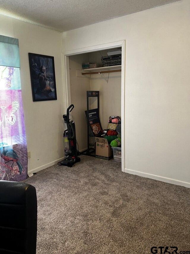 interior space with a textured ceiling and carpet flooring