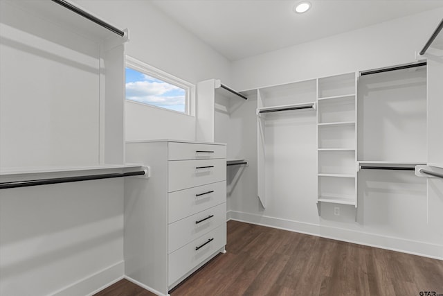 walk in closet with dark hardwood / wood-style floors