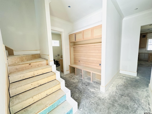 mudroom featuring crown molding and baseboards