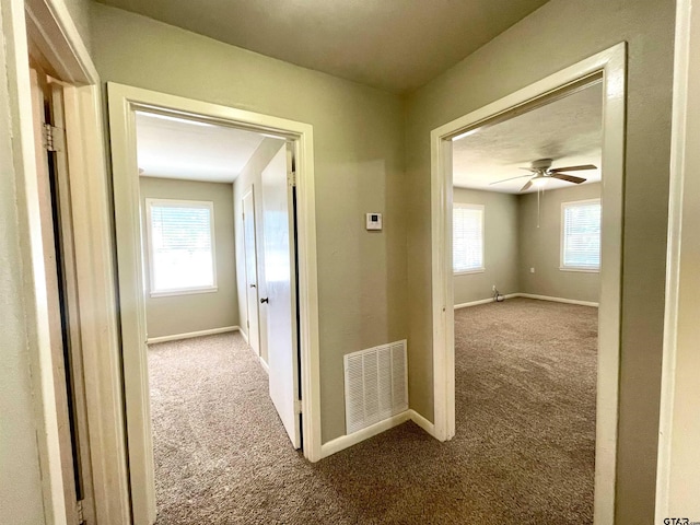 129 An County Rd 302, Frankston, TX 75763 - hallway with carpet and baseboards